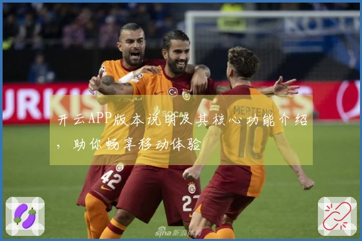 开云APP版本说明及其核心功能介绍，助你畅享移动体验